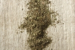 Mięta liść 