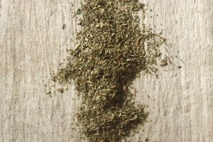 Mięta liść 