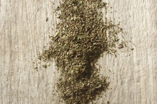 Mięta