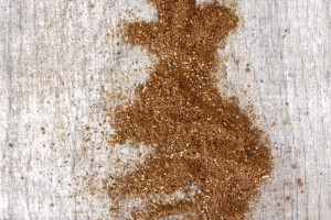 Przyprawa Garam Masala 
