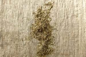 Koperek 